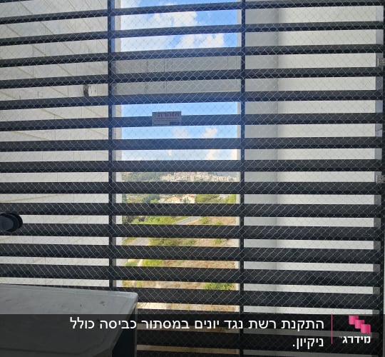 רשת מתכת על חלון למניעת כניסת יונים